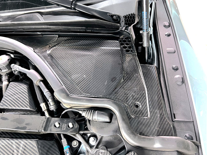 BMW M2/M3/M4 G80/G81/G82/G83/G87 Prepreg Carbon Top Grill