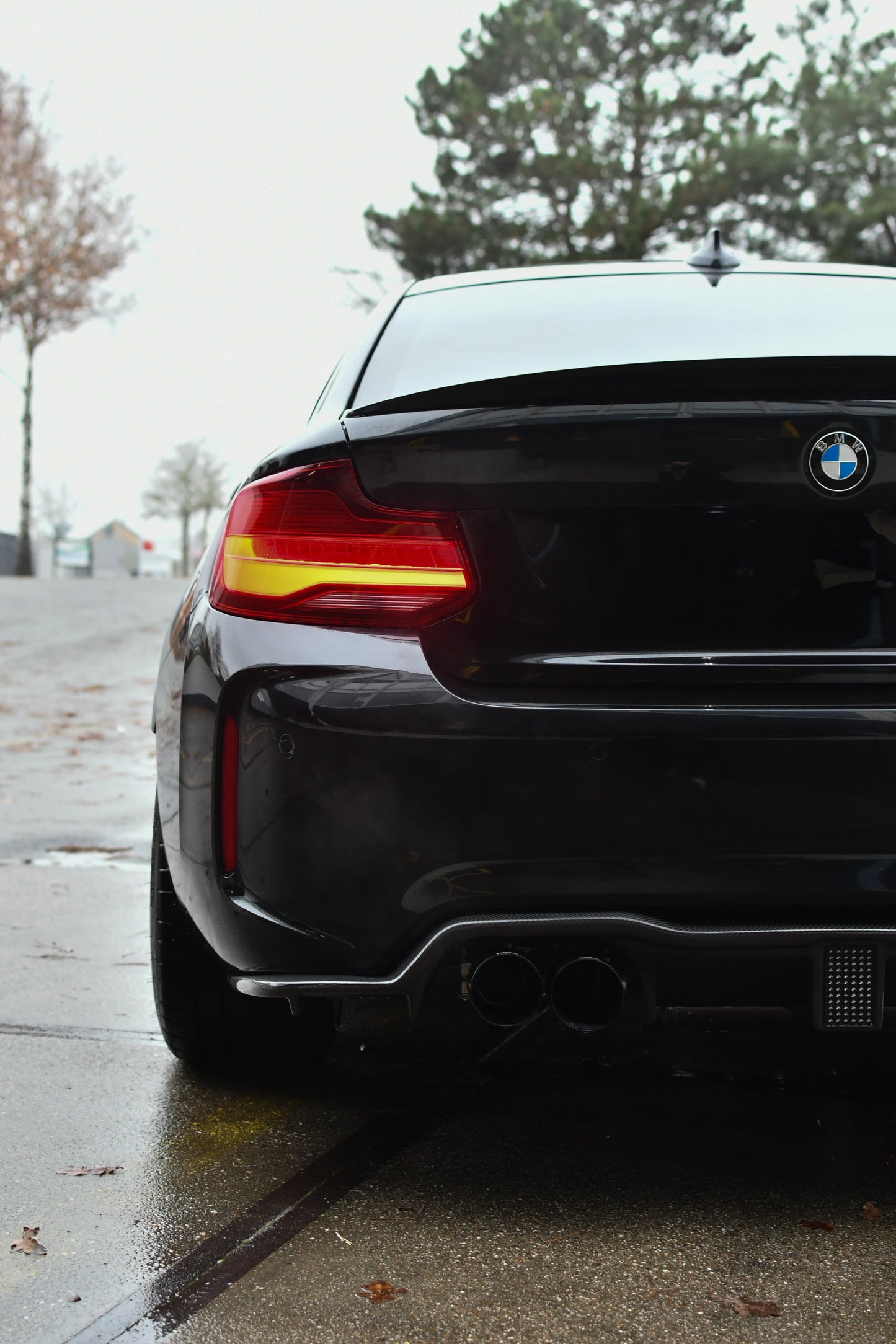 BMW M2 F87 Carbon diffuser with 3rd brake light