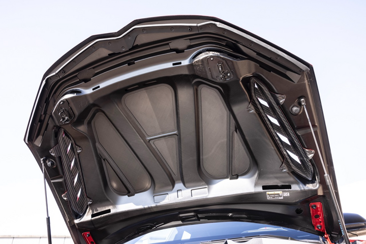 Lamborghini Urus Performante - Dry Carbon Hood